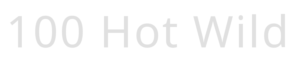 100 Hot Wild Logo