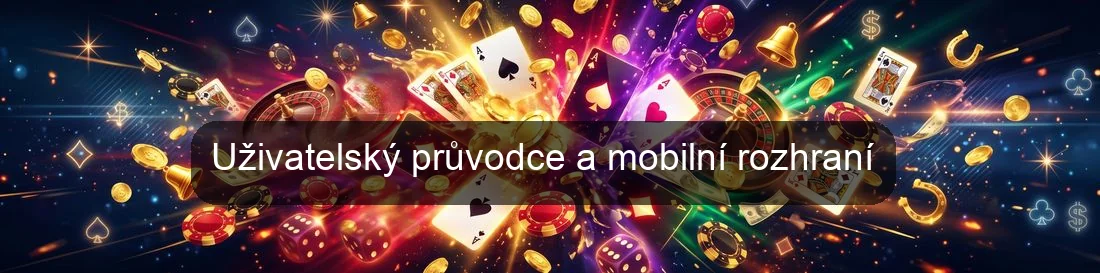 Uživatelský průvodce a mobilní rozhraní