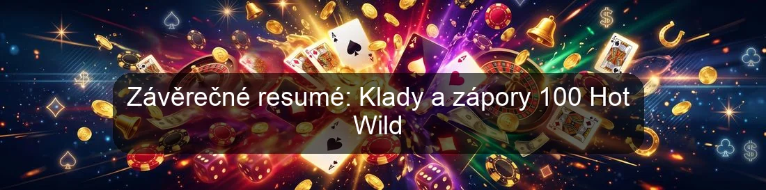 Závěrečné resumé: Klady a zápory 100 Hot Wild